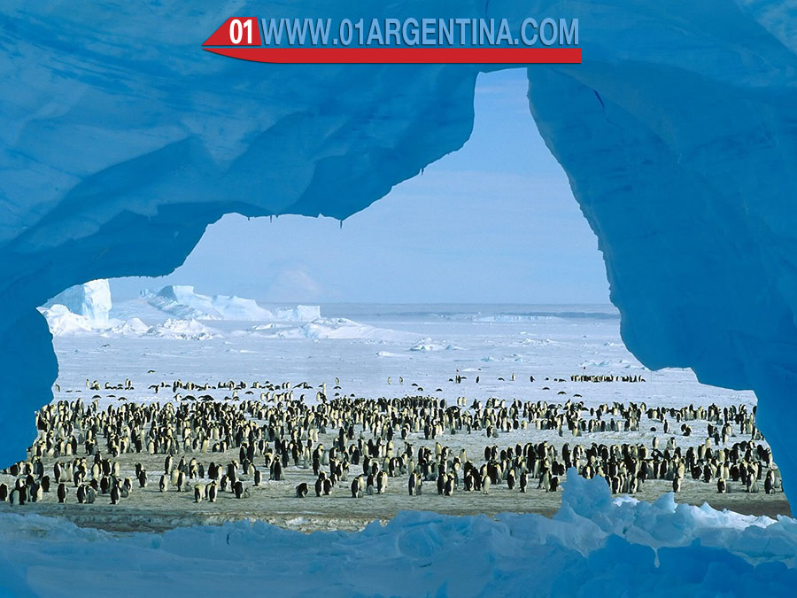 Antarctica Argentina