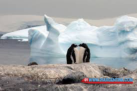 Antarctica Argentina